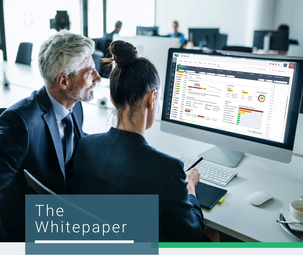 NetSuite SuiteProjects Pro Whitepaper