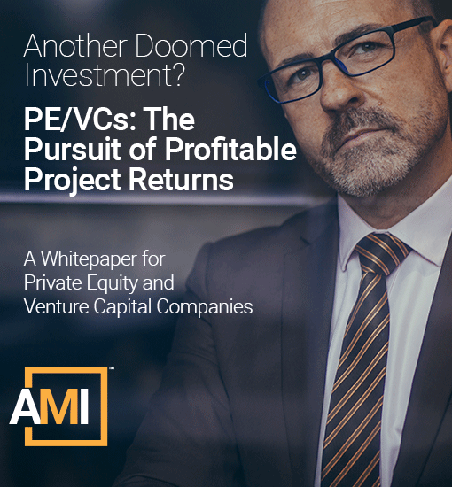 PE/VCs: The Pursuit of Profitable Project Returns Whitepaper