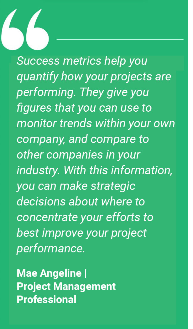 success metrics help quantify project performance, enabling trend monitoring, benchmarking against industry peers, and guiding strategic decisions to improve outcomes