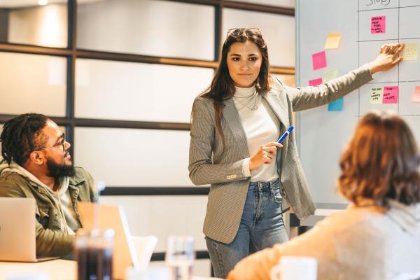 PROJECT AND PORTFOLIO MANAGEMENT