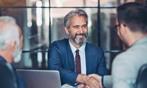 Two professionals handshake