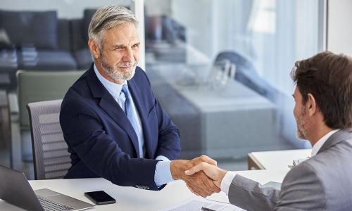 Two professionals handshake