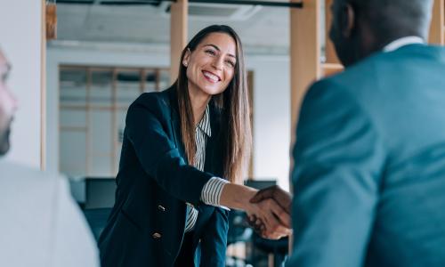 Two professionals handshake.