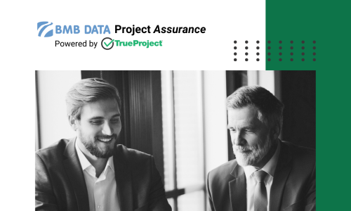 Project Assurance Whitepaper