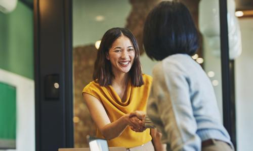 Two professionals handshake.