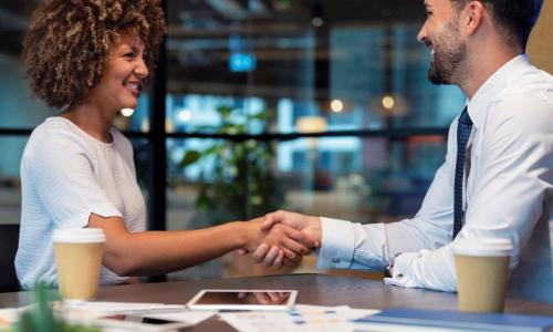 Two professionals handshake.